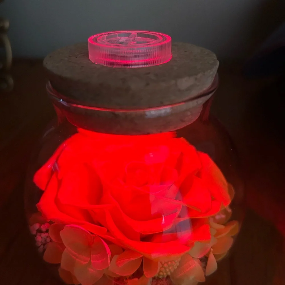 NWT Roliys Preserved/Eternal Rose
